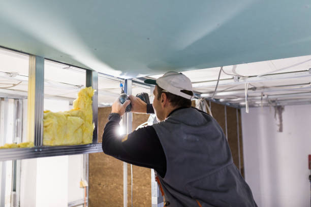 Insulation Repair Services in Livingston, CA