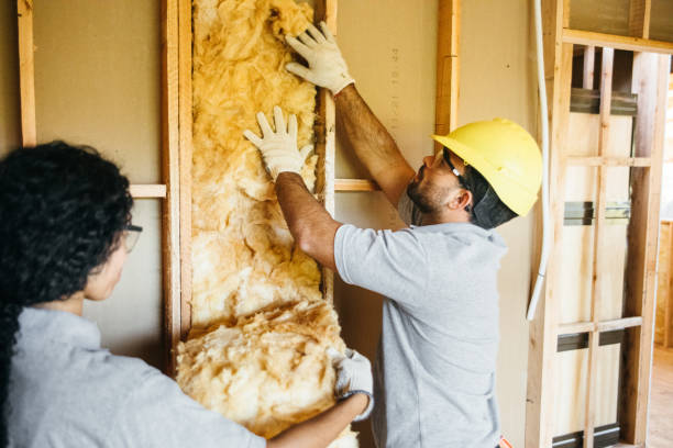 Insulation Repair Services in Livingston, CA